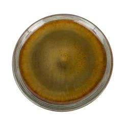 Bazar Bizar Essteller The Comporta