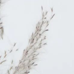 Boltze Dekozweig Pampasgras dreiteilig