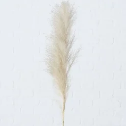 Boltze Dekozweig Pampasgras dreiteilig