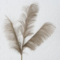 Boltze Dekozweig Schilf