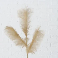 Boltze Dekozweig Schilf