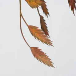 Boltze 2er Set Dekozweig