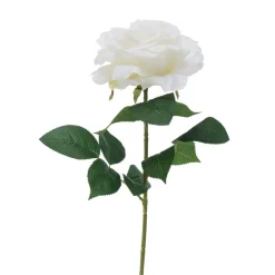 Boltze Stielkunstblume Rose