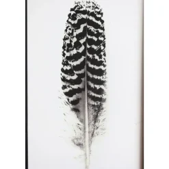 Chic Antique Bild mit Federnmotiv und schwarzem Rahmen