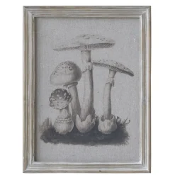 Chic Antique Bild mit Pilzmotiv und Naturrahmen