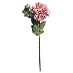 Chic Antique Fleur Dahlie
