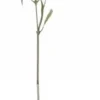 Chic Antique Fleur Distel 2