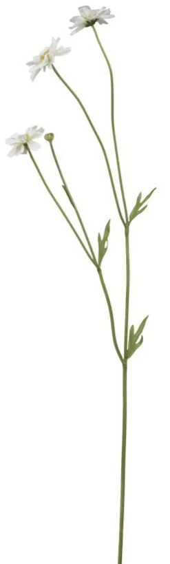 Chic Antique Fleur Gräben Kante Blume 5