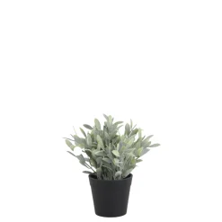 Chic Antique Fleur künstliche Pflanze Jojoba