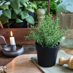 Chic Antique Fleur künstlicher Rosmarin Topf