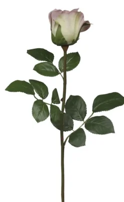 Chic Antique Fleur Rose lavendel