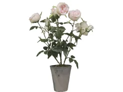 Chic Antique Fleur Rosenstrauch im Keramiktopf