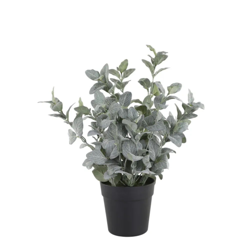 Chic Antique Fleur Salbei Kräuter-Topf künstlich