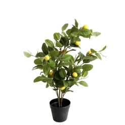 Chic Antique Fleur Zitronenbaum