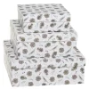 Chic Antique Geschenkbox 3er-Set mit Zapfen