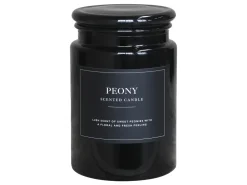 Chic Antique Lucon Duftkerze XL 95 Std