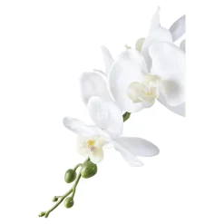 House Nordic Künstliche Orchidee im Topf