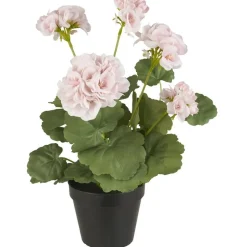 IB Laursen Geranie in Topf rosa Blumen