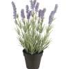 IB Laursen Lavendelpflanze in Topf