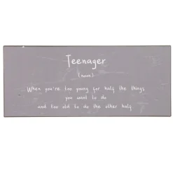 IB Laursen Metallschild Teenager