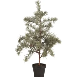 IB Laursen Zederbaum im Topf